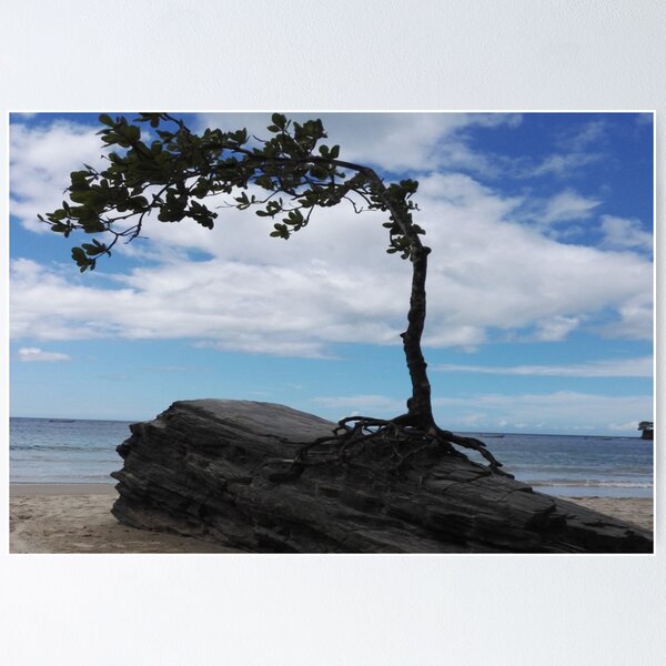 Item preview, Unique Holiday Beach Nature  Landscape  designed and sold by diverseidentity.