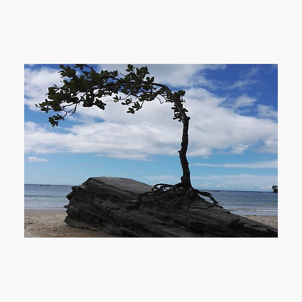 Item preview, Unique Holiday Beach Nature  Landscape  designed and sold by diverseidentity.