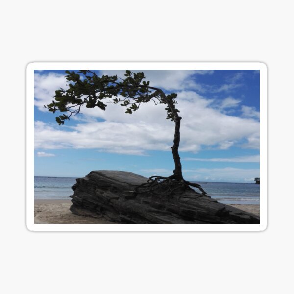 Item preview, Unique Holiday Beach Nature  Landscape  designed and sold by diverseidentity.