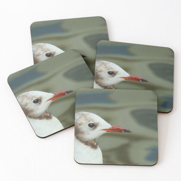 Item preview, Black headed gull close up designed and sold by Anita van Gendt.