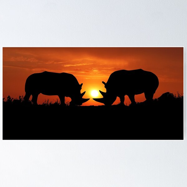 Aperçu de l'œuvre Coucher de soleil de rhinocéros créée et vendue par Patrick David.