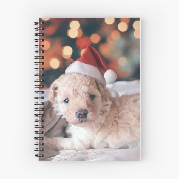 Item preview, Santa GoldiePoo designed and sold by Rheba77.