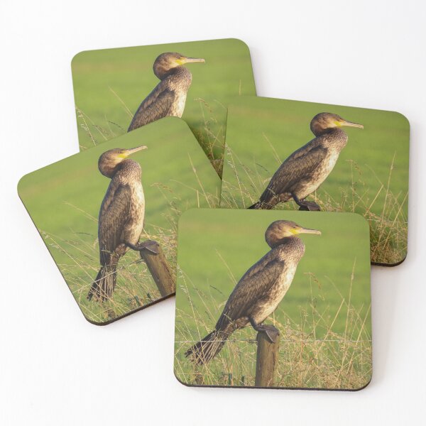 Item preview, Cormorant in the meadows in the Netherlands designed and sold by Anita van Gendt.