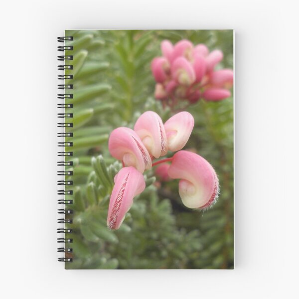 Artikelvorschau, Grevillea bereit zu platzen entworfen und verkauft von GriffMAD.