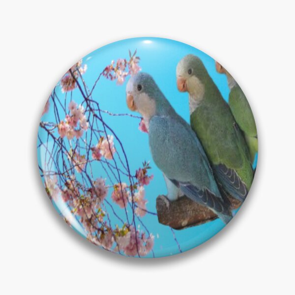 Item preview, Monk Parakeet designed and sold by oxyten.