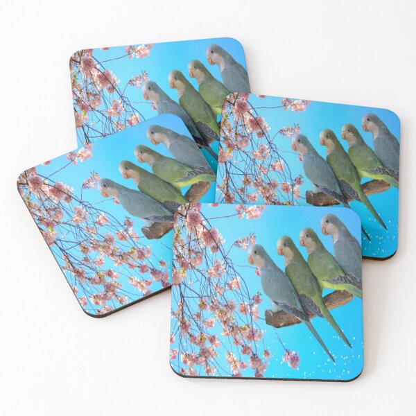 Item preview, Periquito monje designed and sold by oxyten.