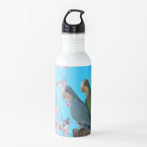 Monk Parakeet Water Bottle