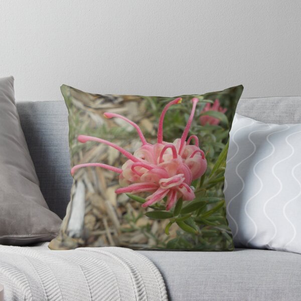 Aperçu de l'œuvre Soft Pink Grevillea créée et vendue par GriffMAD.