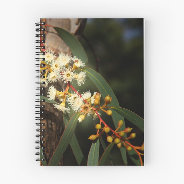 Item preview, Gum Tree Flowering, Australian bush designed and sold by OzzieClothingC0.