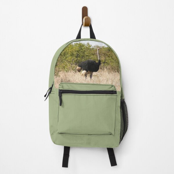 Item preview, Ostrich In the Wild, Kruger national park, South Africa designed and sold by worldways.