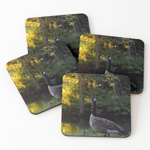 Item preview, Gander designed and sold by kry.ative.
