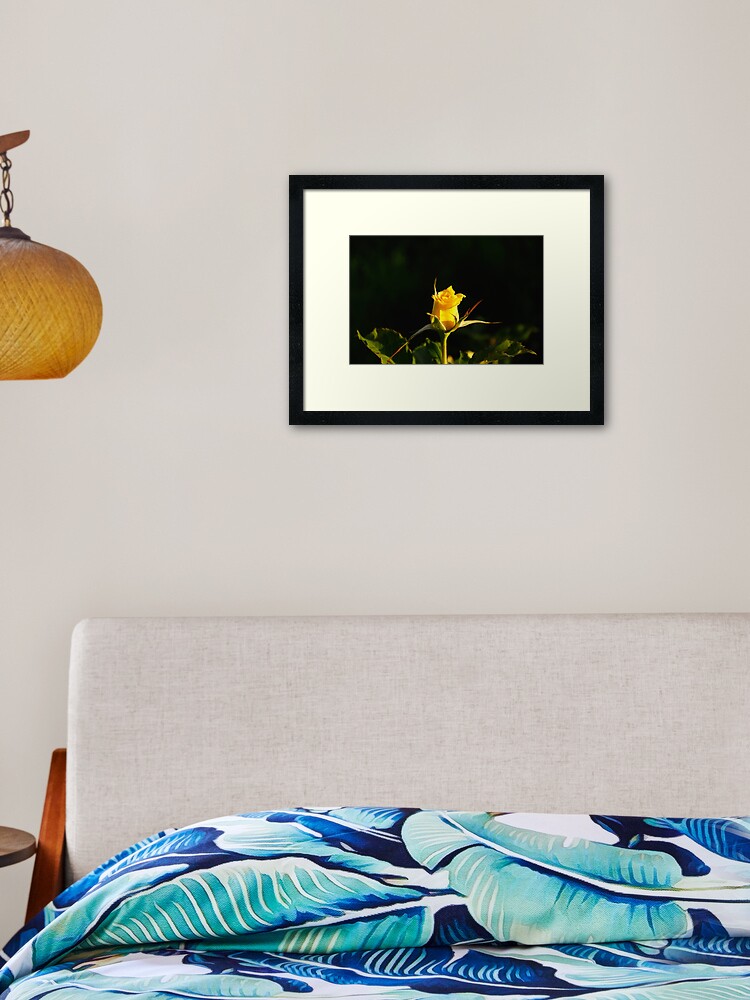 Thumbnail 2 of 7, Framed Art Print, Yellow Rose designed and sold by Mallorn.