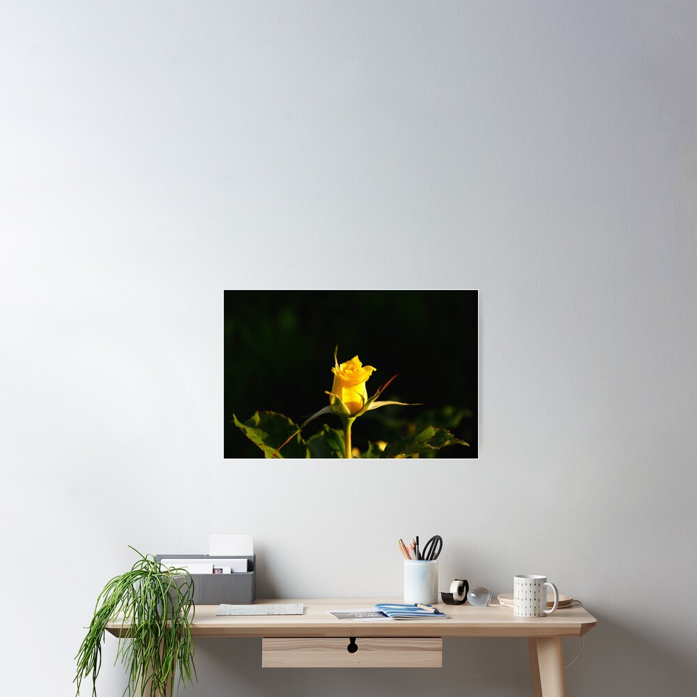 Item preview, Poster designed and sold by Mallorn.