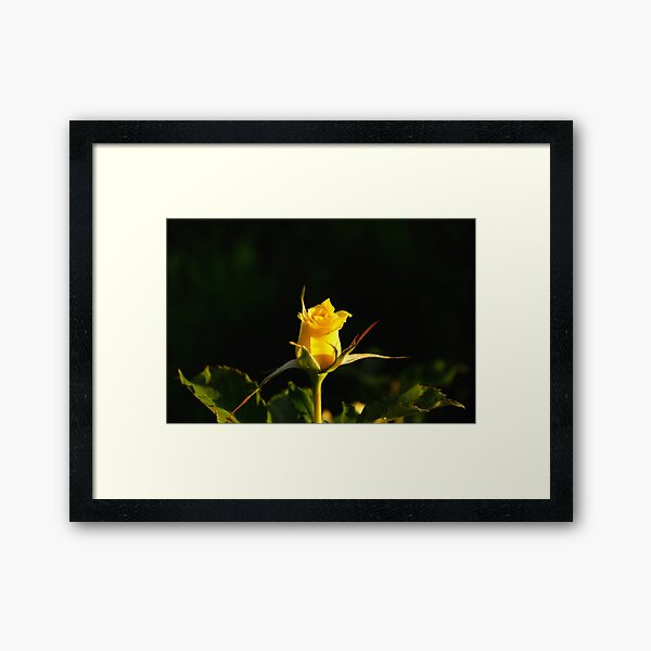 Framed Art Print