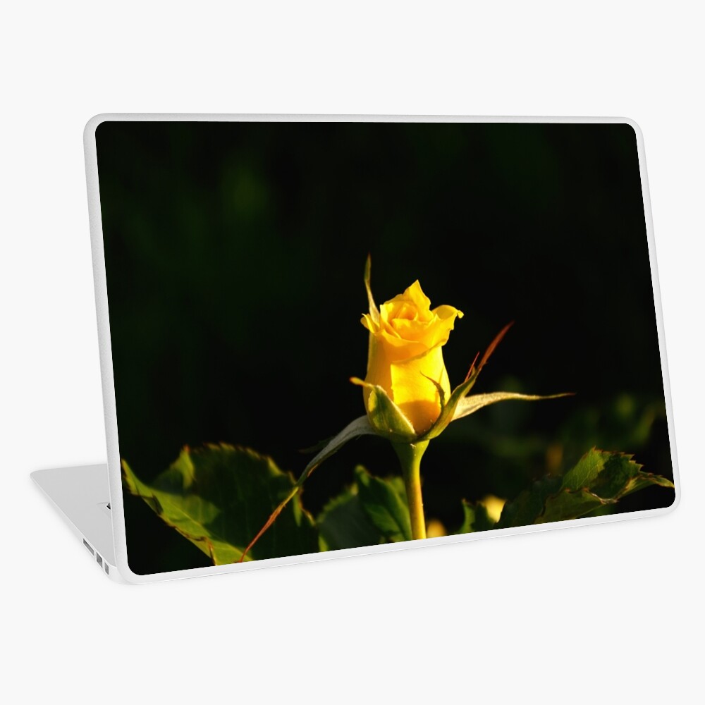 Item preview, Laptop Skin designed and sold by Mallorn.