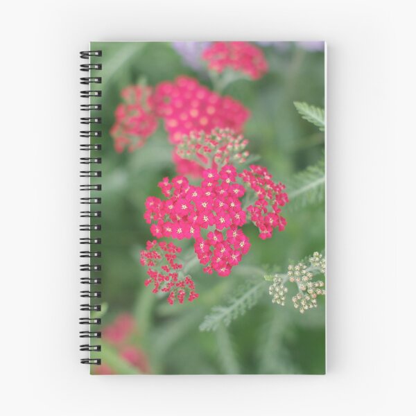 Item preview, Compound Flower designed and sold by Limo-Studios.