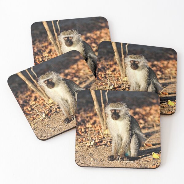 Item preview, Cute Vervet Monkey in the Wilde designed and sold by worldways.