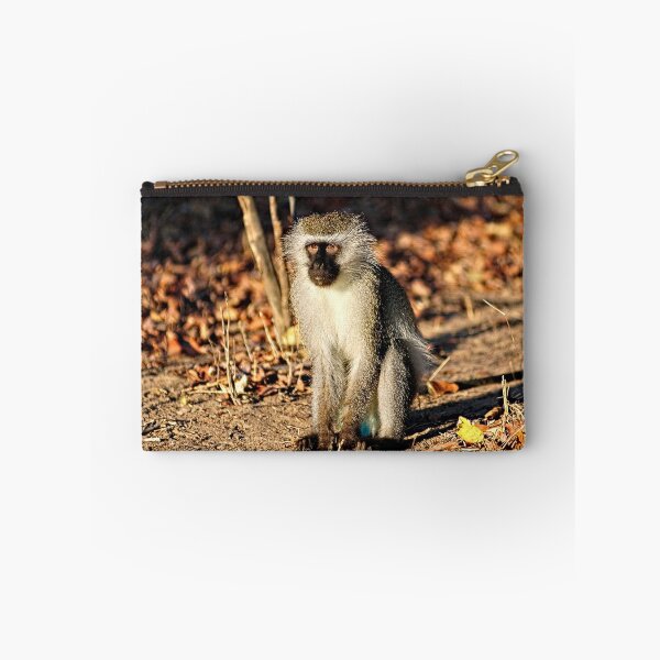 Item preview, Cute Vervet Monkey in the Wilde designed and sold by worldways.