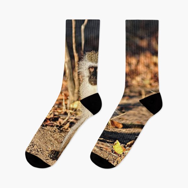 Item preview, Cute Vervet Monkey in the Wilde designed and sold by worldways.