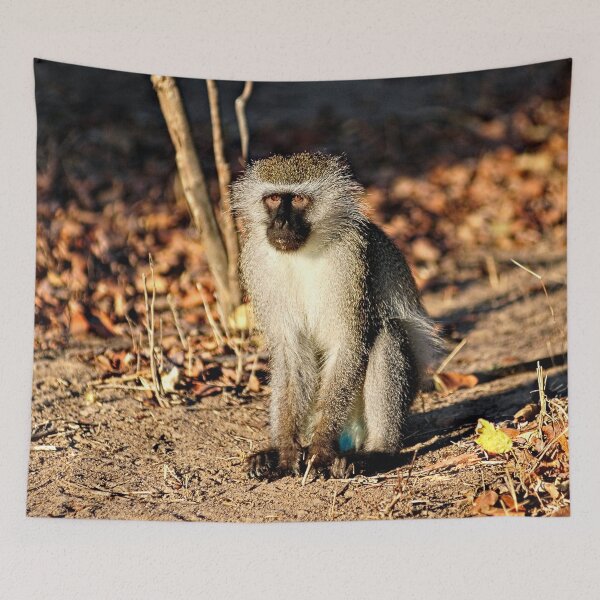 Item preview, Cute Vervet Monkey in the Wilde designed and sold by worldways.