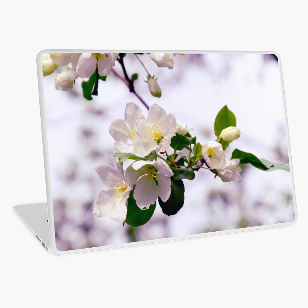Item preview, Laptop Skin designed and sold by Mallorn.