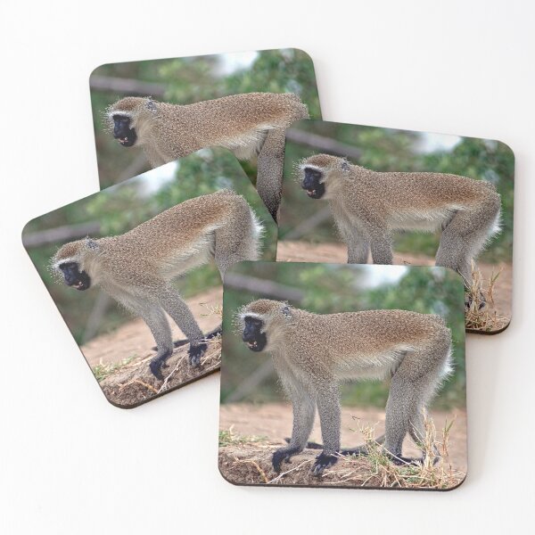 Item preview, Angry Vervet Monkey in the Wilde designed and sold by worldways.