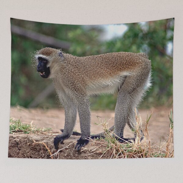 Item preview, Angry Vervet Monkey in the Wilde designed and sold by worldways.