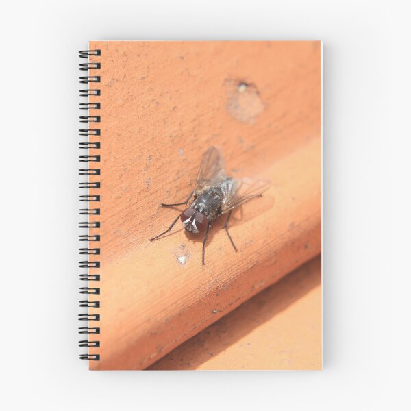 Item preview, Black Fly on a Roof designed and sold by rhamm.