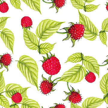 Artwork thumbnail, Raspberry pattern by RoyalPeople