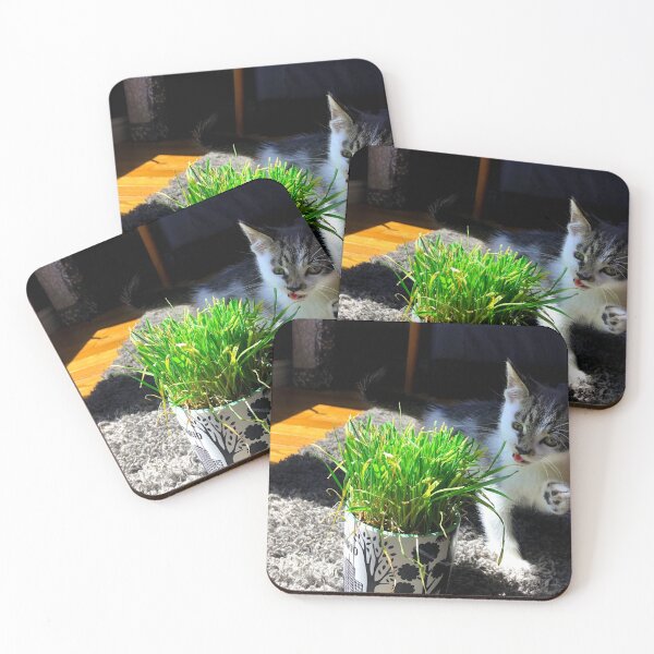 Item preview, Kittens and Cat Grass I designed and sold by kry.ative.