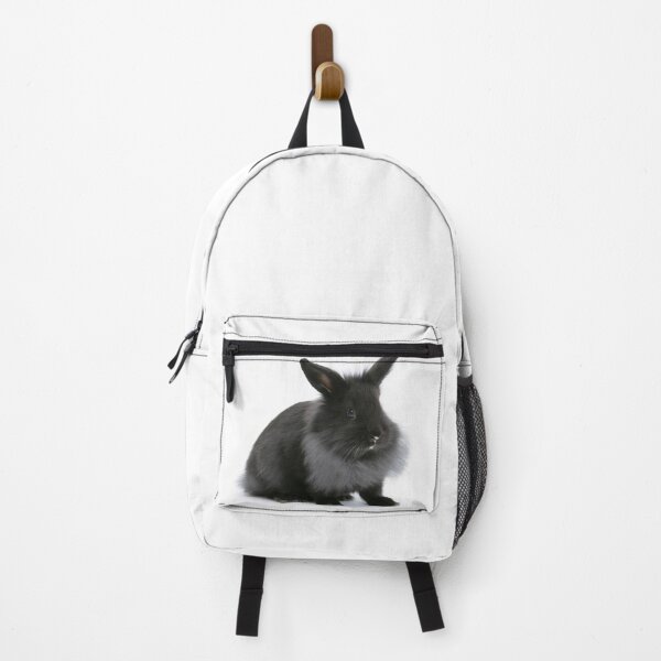 Item preview, Baby Dutch x Lionhead rabbit designed and sold by Warren  Photographic.