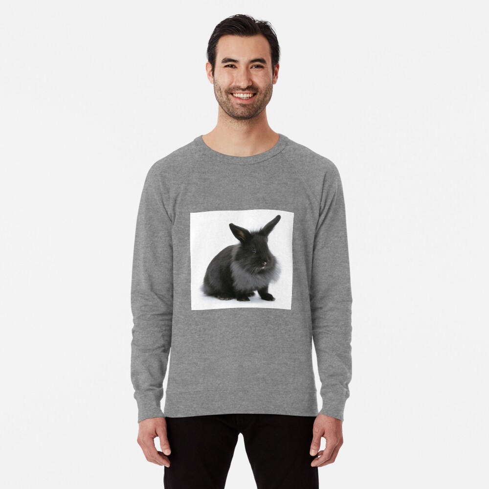 Item preview, Lightweight Sweatshirt designed and sold by WarrenPhoto.