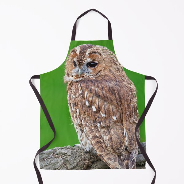 Item preview, Tawny Owl designed and sold by Martyn R Arnold Fine Art Nature & Landscape Photography.
