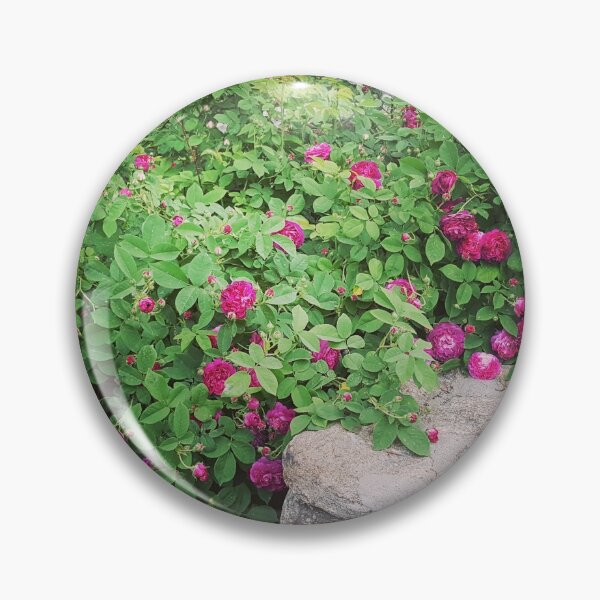 Artikelvorschau, Blumen auf einer Steinmauer in Connecticut entworfen und verkauft von mymysterycloset.