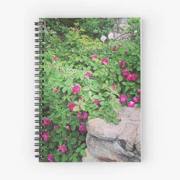 Artikelvorschau, Blumen auf einer Steinmauer in Connecticut entworfen und verkauft von mymysterycloset.