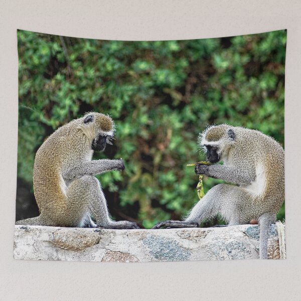 Item preview, Vervet Monkeys Eating Bananas designed and sold by worldways.