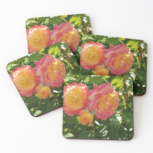 Item preview, Beautiful Peach Roses in Elizabeth Park designed and sold by mymysterycloset.