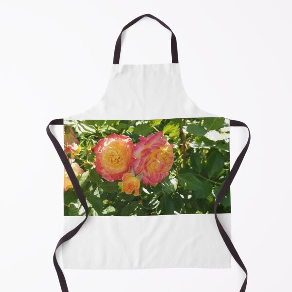 Item preview, Beautiful Peach Roses in Elizabeth Park designed and sold by mymysterycloset.