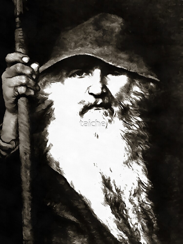 Scandinavian God - Odin Poster for Sale by MyFavorTee