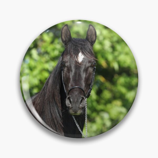 Item preview, Arabian thoroughbred designed and sold by JeanettesPets.