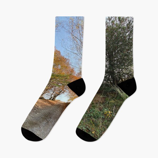 Item preview, Autumn in the Pyrenees 1/4 designed and sold by AHELENE.