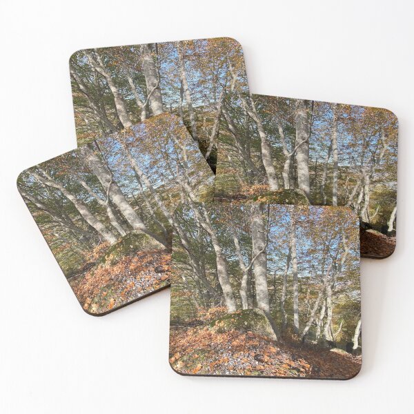 Item preview, Autumn in the Pyrenees 2/4 designed and sold by AHELENE.