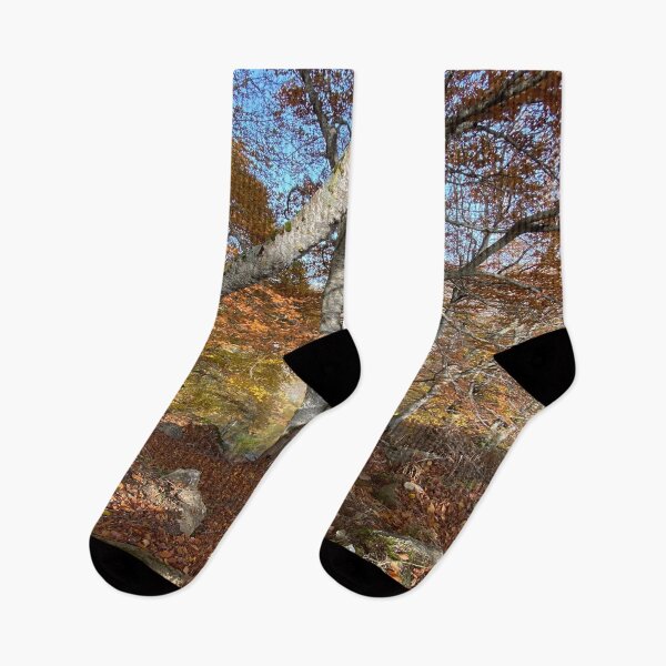 Item preview, Autumn in the Pyrenees 3/4 designed and sold by AHELENE.