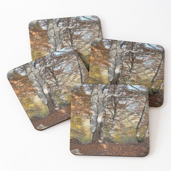 Item preview, Autumn in the Pyrenees 4/4 designed and sold by AHELENE.