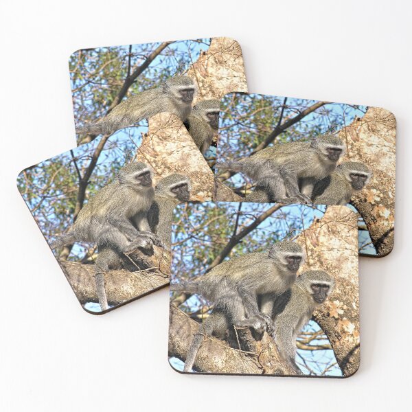 Item preview, Wild Vervet Monkeys on a Tree Branch designed and sold by worldways.