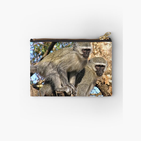 Item preview, Wild Vervet Monkeys on a Tree Branch designed and sold by worldways.