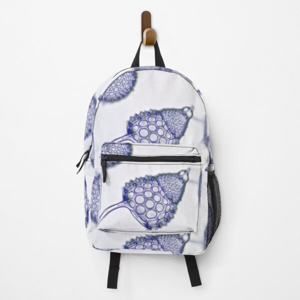 Item preview, Radical Radiolaria designed and sold by MicrocosmFilm.