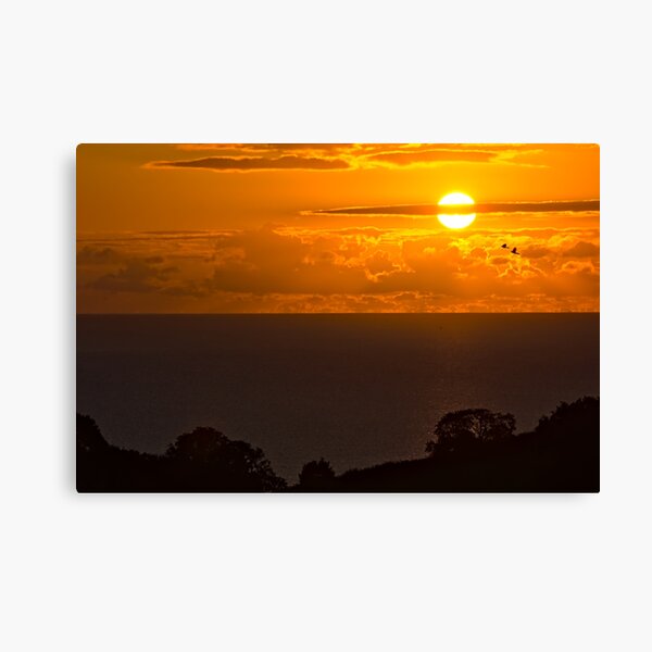 Birds in the sunrise at Teignmouth Canvas Print