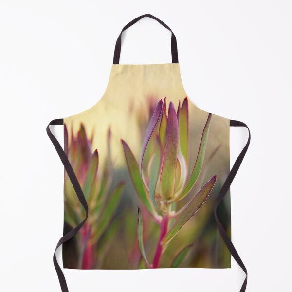Item preview, Beauty of a Protea - Leucadendron Salignum designed and sold by imaginethis.