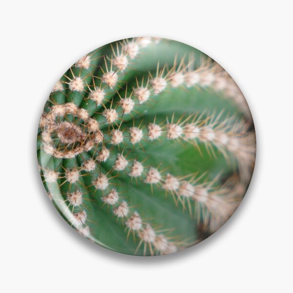 Item preview, CACTUS - PHOTOS - DECORATION - ART - MINIMALIST - DECO designed and sold by Tropical Blood.